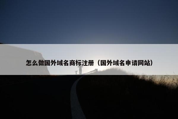 怎么做国外域名商标注册（国外域名申请网站）-第1张图片-冷动云