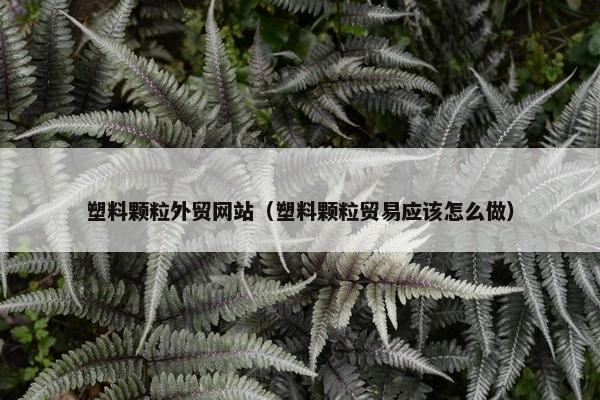 塑料颗粒外贸网站（塑料颗粒贸易应该怎么做）-第1张图片-冷动云