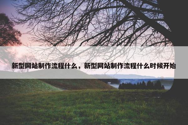 新型网站制作流程什么，新型网站制作流程什么时候开始-第1张图片-冷动云