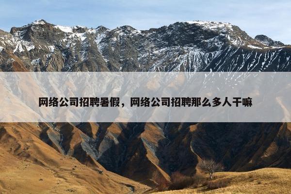 网络公司招聘暑假，网络公司招聘那么多人干嘛-第1张图片-冷动云