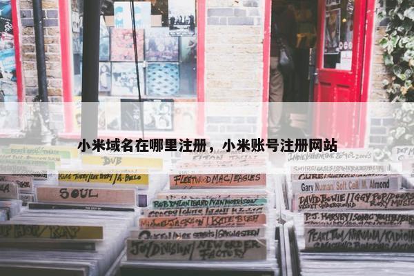 小米域名在哪里注册，小米账号注册网站-第1张图片-冷动云