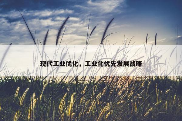 现代工业优化，工业化优先发展战略-第1张图片-冷动云