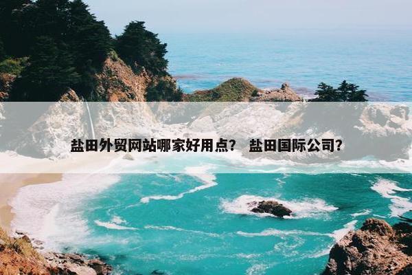 盐田外贸网站哪家好用点？ 盐田国际公司？-第1张图片-冷动云