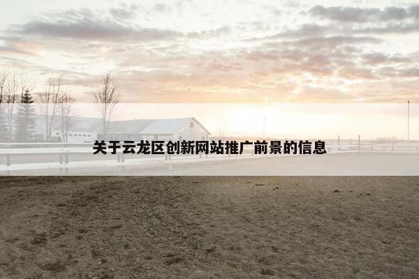 关于云龙区创新网站推广前景的信息-第1张图片-冷动云