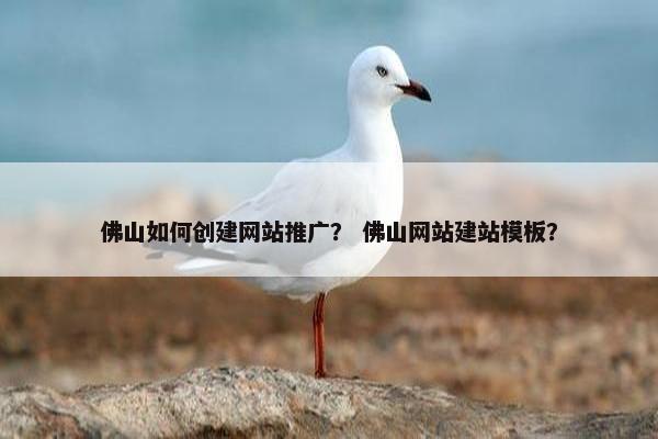 佛山如何创建网站推广？ 佛山网站建站模板？-第1张图片-冷动云