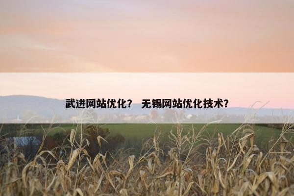武进网站优化？ 无锡网站优化技术？-第1张图片-冷动云