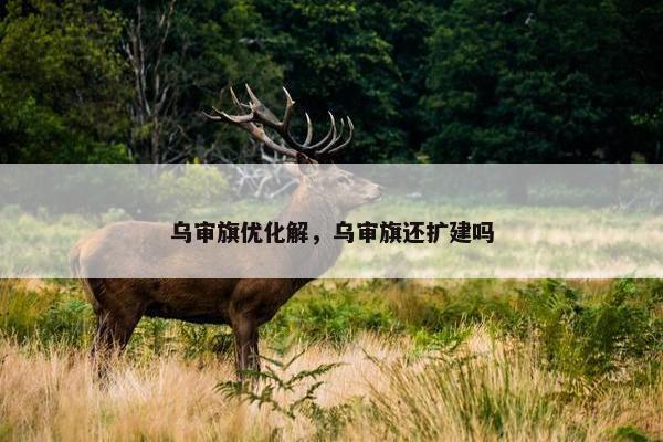 乌审旗优化解，乌审旗还扩建吗-第1张图片-冷动云