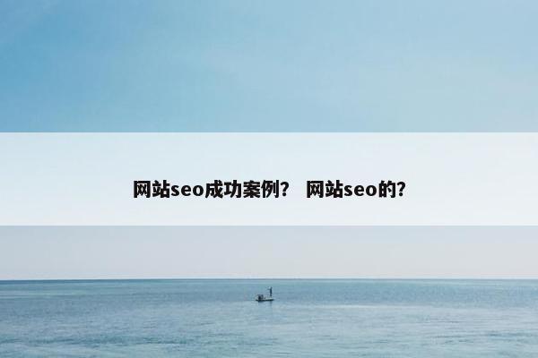 网站seo成功案例？ 网站seo的？-第1张图片-冷动云