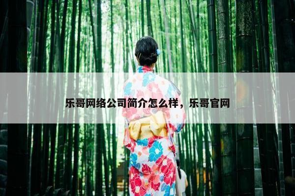 乐哥网络公司简介怎么样，乐哥官网-第1张图片-冷动云