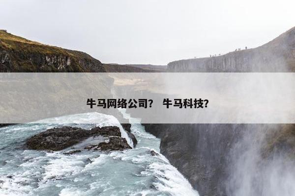牛马网络公司？ 牛马科技？-第1张图片-冷动云