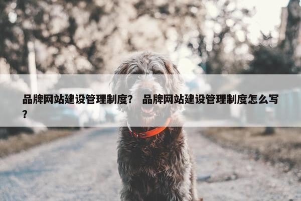 品牌网站建设管理制度？ 品牌网站建设管理制度怎么写？-第1张图片-冷动云