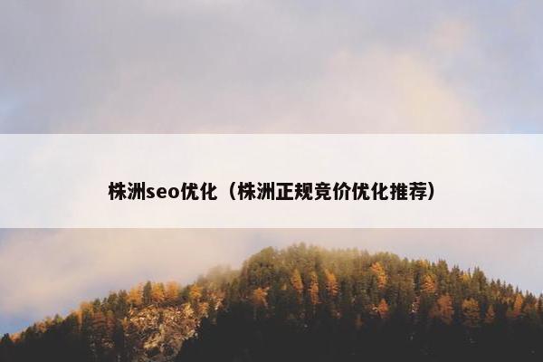 株洲seo优化（株洲正规竞价优化推荐）-第1张图片-冷动云