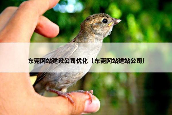 东莞网站建设公司优化（东莞网站建站公司）-第1张图片-冷动云