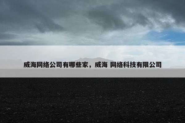 威海网络公司有哪些家，威海 网络科技有限公司-第1张图片-冷动云