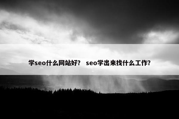 学seo什么网站好？ seo学出来找什么工作？-第1张图片-冷动云