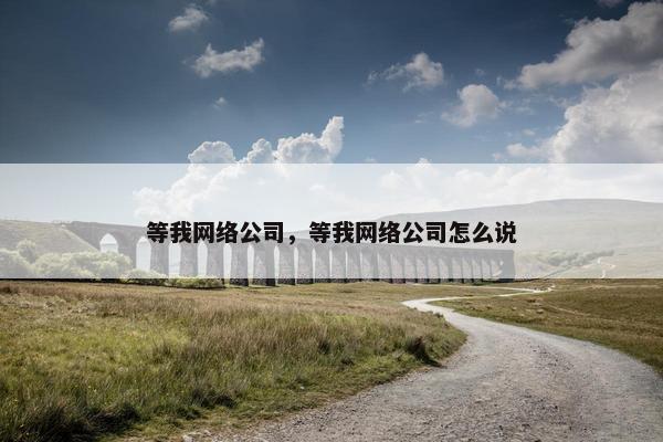 等我网络公司，等我网络公司怎么说-第1张图片-冷动云