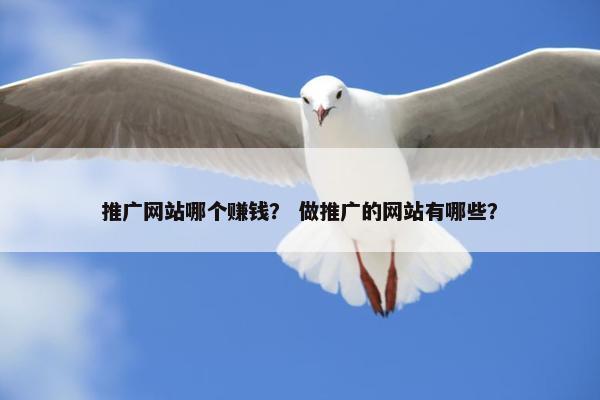 推广网站哪个赚钱？ 做推广的网站有哪些？-第1张图片-冷动云