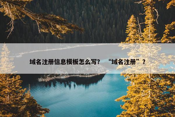 域名注册信息模板怎么写？ “域名注册”？-第1张图片-冷动云