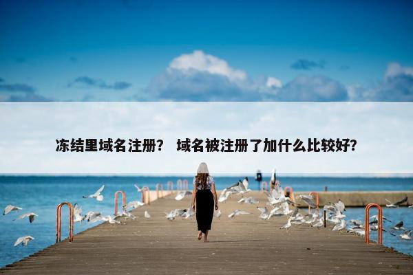 冻结里域名注册？ 域名被注册了加什么比较好？-第1张图片-冷动云