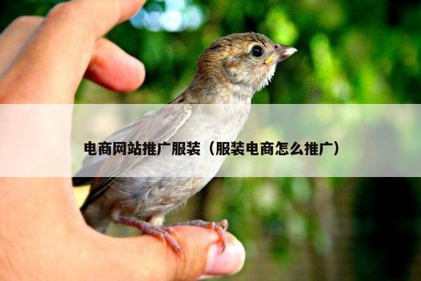 电商网站推广服装（服装电商怎么推广）-第1张图片-冷动云