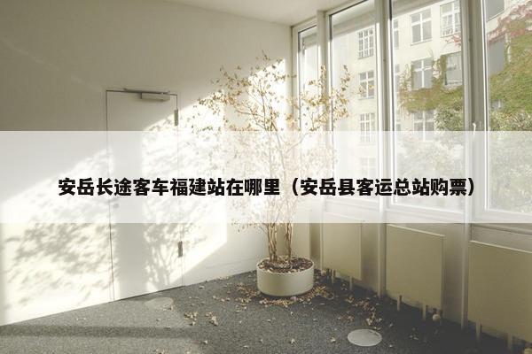 安岳长途客车福建站在哪里（安岳县客运总站购票）-第1张图片-冷动云