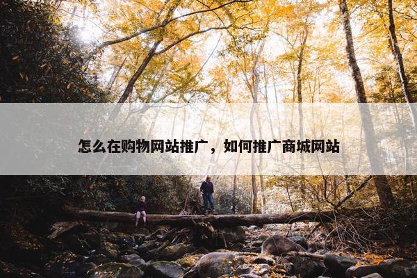 怎么在购物网站推广，如何推广商城网站-第1张图片-冷动云