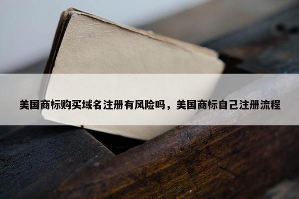美国商标购买域名注册有风险吗，美国商标自己注册流程-第1张图片-冷动云