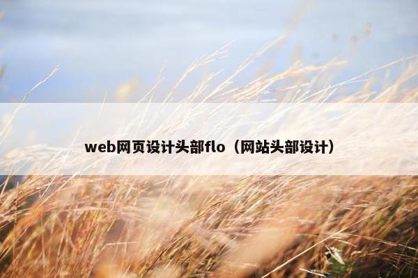 web网页设计头部flo（网站头部设计）-第1张图片-冷动云