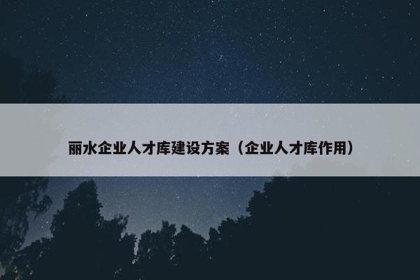 丽水企业人才库建设方案（企业人才库作用）-第1张图片-冷动云