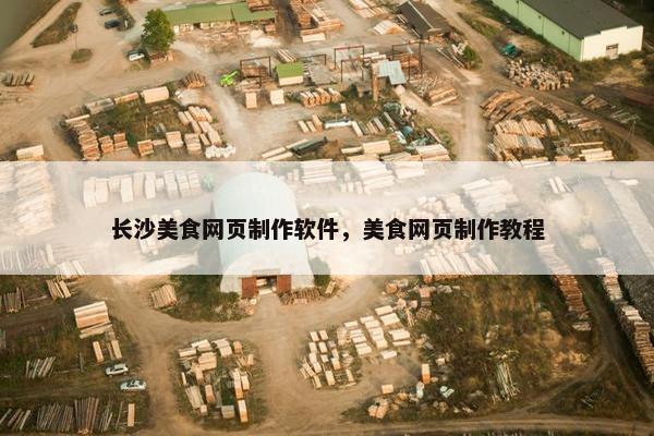 长沙美食网页制作软件，美食网页制作教程-第1张图片-冷动云