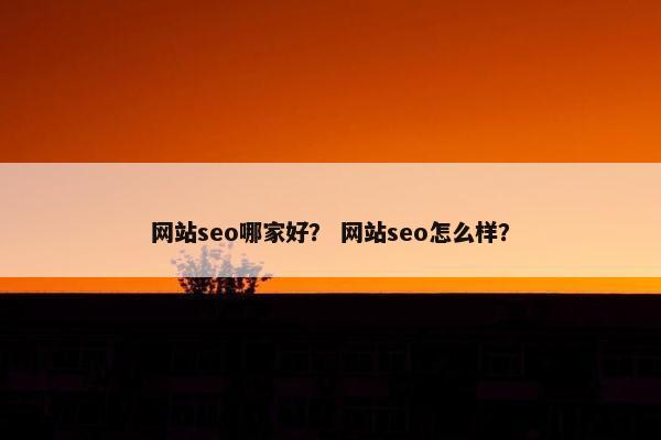 网站seo哪家好？ 网站seo怎么样？-第1张图片-冷动云