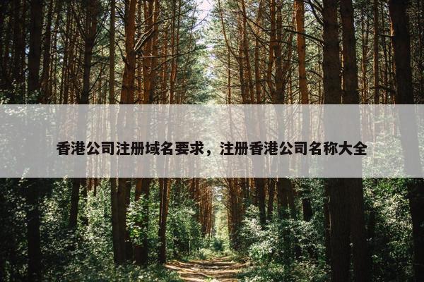 香港公司注册域名要求，注册香港公司名称大全-第1张图片-冷动云