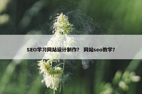 SEO学习网站设计制作？ 网站seo教学？-第1张图片-冷动云