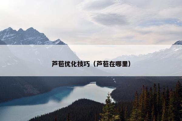 芦苞优化技巧（芦苞在哪里）-第1张图片-冷动云
