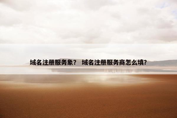 域名注册服务象？ 域名注册服务商怎么填？-第1张图片-冷动云