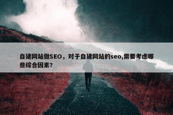 自建网站做SEO，对于自建网站的seo,需要考虑哪些综合因素?-第1张图片-冷动云