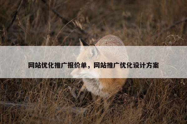 网站优化推广报价单，网站推广优化设计方案-第1张图片-冷动云