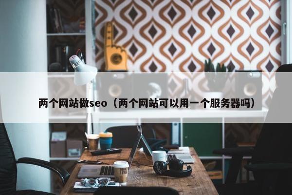 两个网站做seo（两个网站可以用一个服务器吗）-第1张图片-冷动云