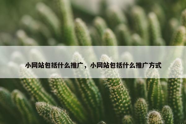 小网站包括什么推广，小网站包括什么推广方式-第1张图片-冷动云