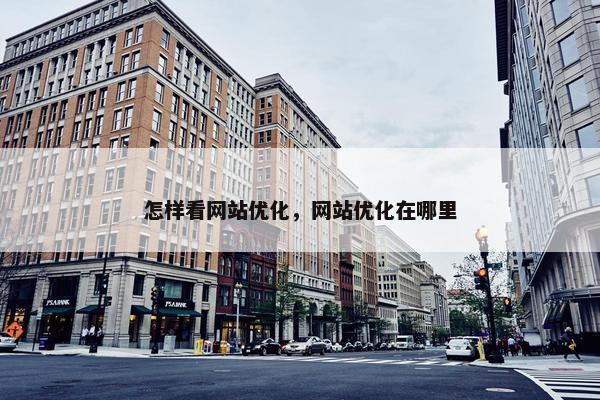 怎样看网站优化，网站优化在哪里-第1张图片-冷动云