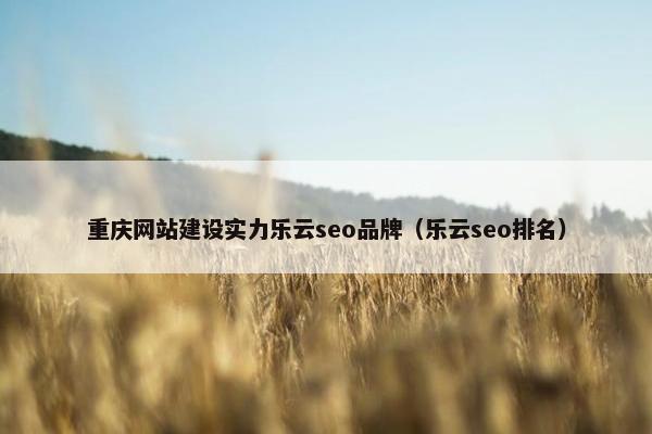 重庆网站建设实力乐云seo品牌（乐云seo排名）-第1张图片-冷动云