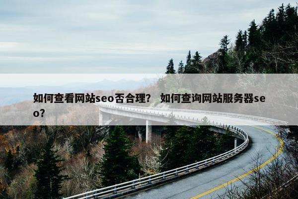 如何查看网站seo否合理？ 如何查询网站服务器seo？-第1张图片-冷动云