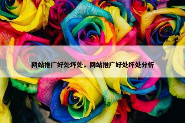 网站推广好处坏处，网站推广好处坏处分析-第1张图片-冷动云