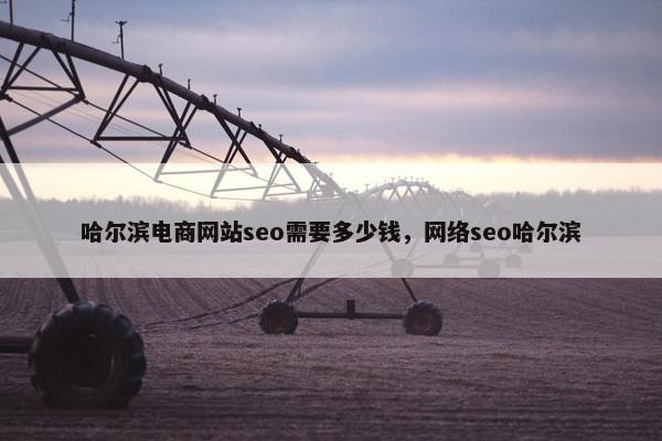 哈尔滨电商网站seo需要多少钱，网络seo哈尔滨-第1张图片-冷动云