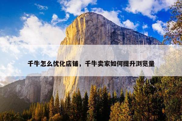 千牛怎么优化店铺，千牛卖家如何提升浏览量-第1张图片-冷动云