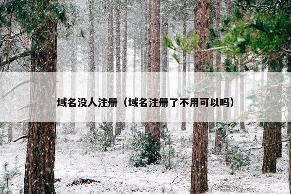 域名没人注册（域名注册了不用可以吗）-第1张图片-冷动云