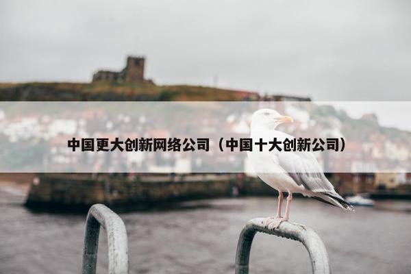 中国更大创新网络公司（中国十大创新公司）-第1张图片-冷动云