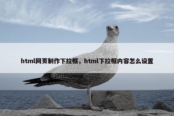html网页制作下拉框，html下拉框内容怎么设置-第1张图片-冷动云