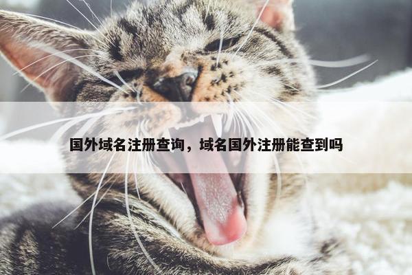 国外域名注册查询，域名国外注册能查到吗-第1张图片-冷动云