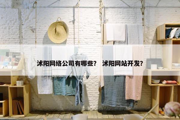 沭阳网络公司有哪些？ 沭阳网站开发？-第1张图片-冷动云